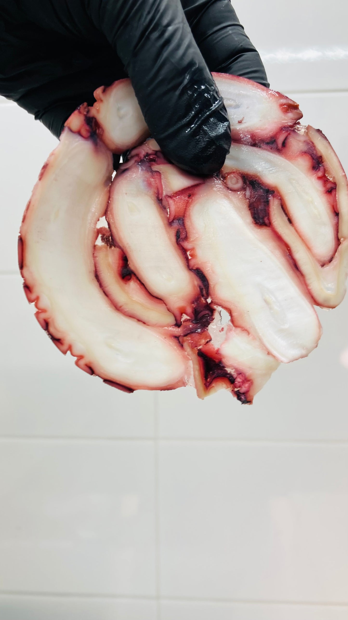 Carpaccio de Pulpo